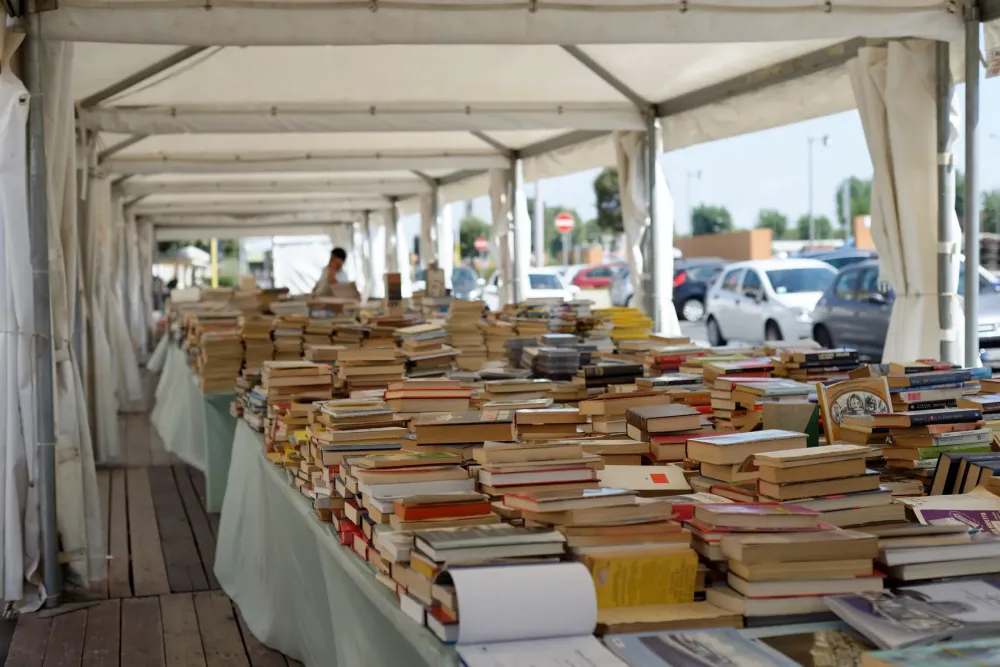 Livres d'occasion à Laragne-Montéglin